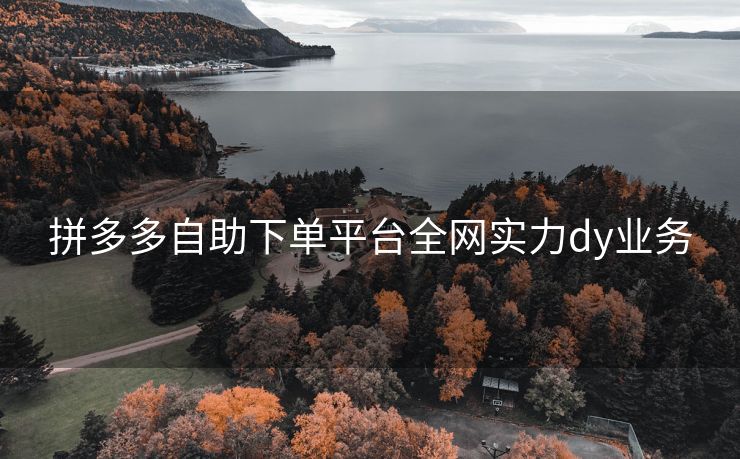 拼多多自助下单平台全网实力dy业务