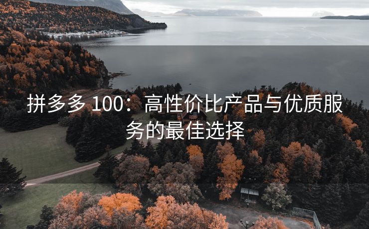 拼多多 100：高性价比产品与优质服务的最佳选择
