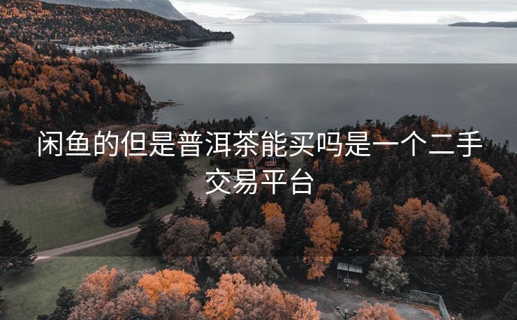 闲鱼的但是普洱茶能买吗是一个二手交易平台