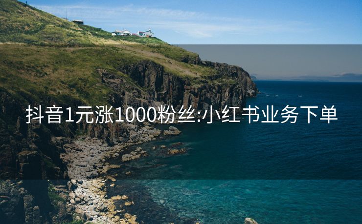 抖音1元涨1000粉丝:小红书业务下单