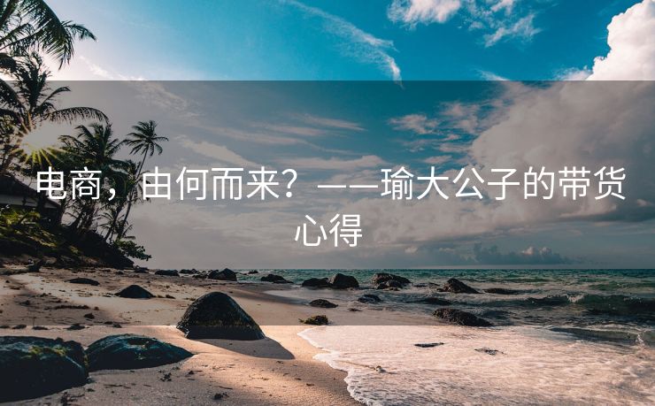 电商，由何而来？——瑜大公子的带货心得