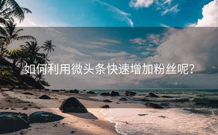 如何利用微头条快速增加粉丝呢？