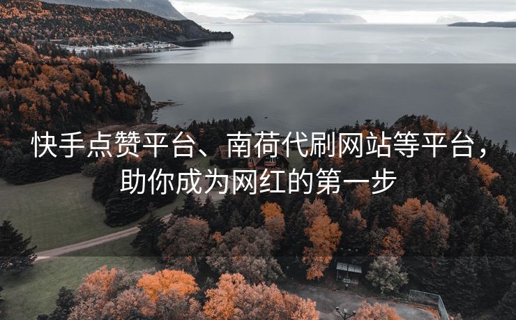 快手点赞平台、南荷代刷网站等平台，助你成为网红的第一步