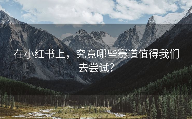 在小红书上，究竟哪些赛道值得我们去尝试？