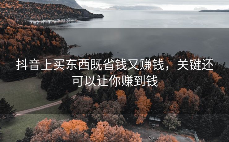 抖音上买东西既省钱又赚钱，关键还可以让你赚到钱