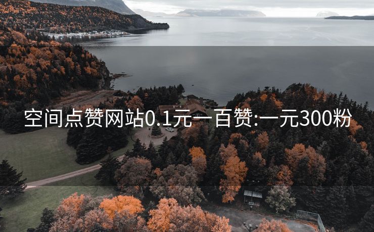 空间点赞网站0.1元一百赞:一元300粉