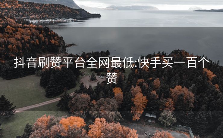 抖音刷赞平台全网最低:快手买一百个赞