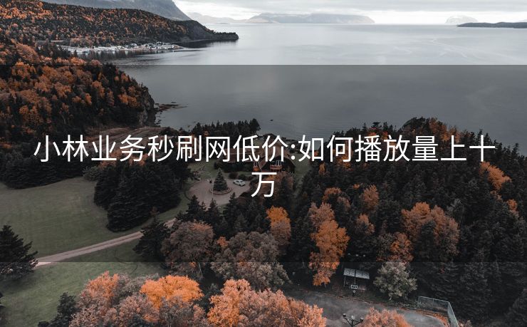 小林业务秒刷网低价:如何播放量上十万