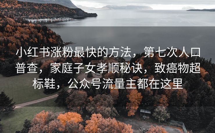 小红书涨粉最快的方法，第七次人口普查，家庭子女孝顺秘诀，致癌物超标鞋，公众号流量主都在这里