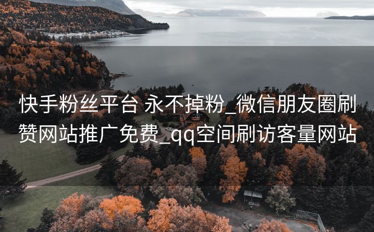 快手粉丝平台 永不掉粉_微信朋友圈刷赞网站推广免费_qq空间刷访客量网站