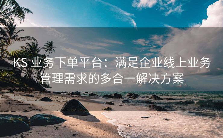 KS 业务下单平台：满足企业线上业务管理需求的多合一解决方案