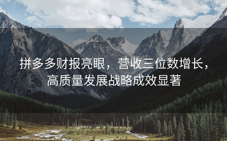 拼多多财报亮眼，营收三位数增长，高质量发展战略成效显著