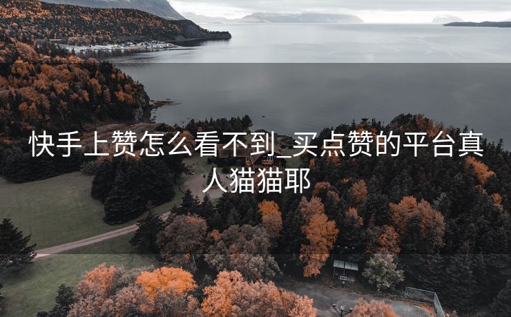 快手上赞怎么看不到_买点赞的平台真人猫猫耶