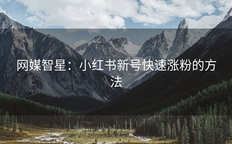 网媒智星：小红书新号快速涨粉的方法