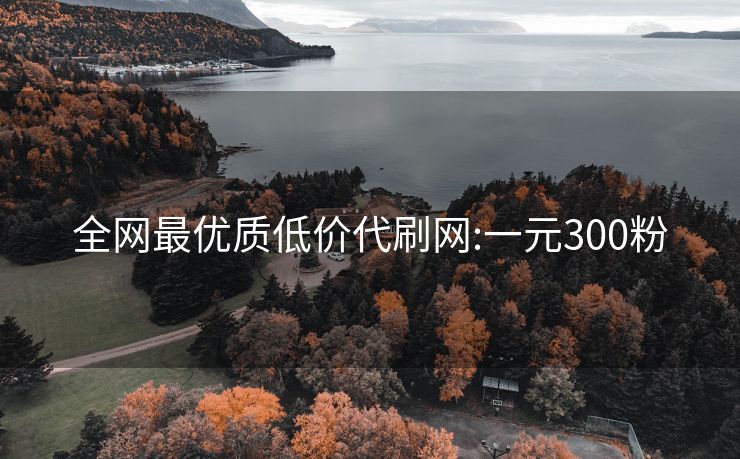 全网最优质低价代刷网:一元300粉