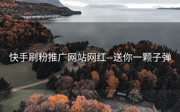 快手刷粉推广网站网红--送你一颗子弹
