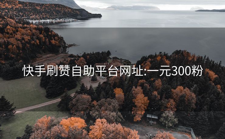 快手刷赞自助平台网址:一元300粉