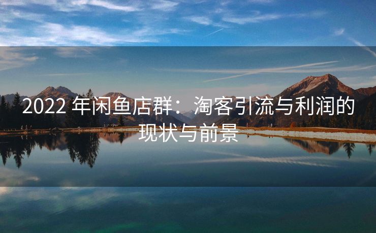 2022 年闲鱼店群：淘客引流与利润的现状与前景
