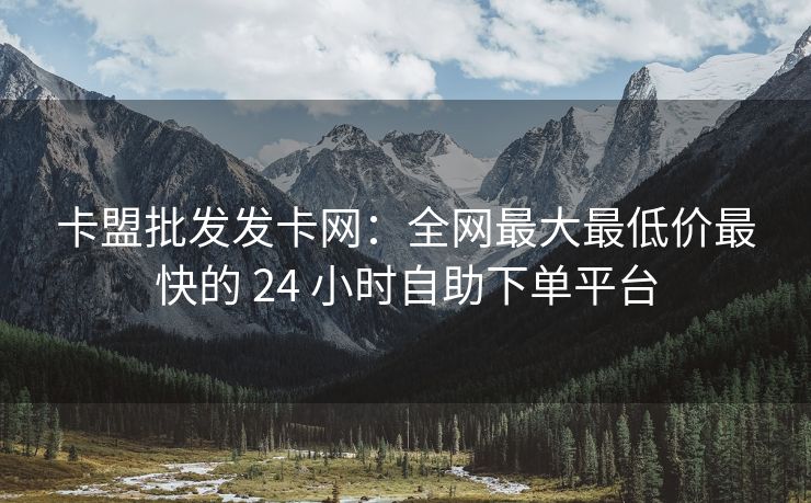 卡盟批发发卡网：全网最大最低价最快的 24 小时自助下单平台