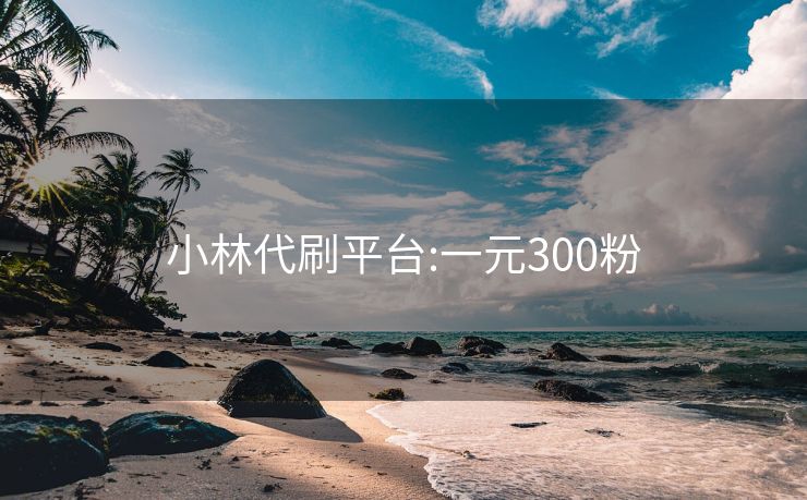 小林代刷平台:一元300粉
