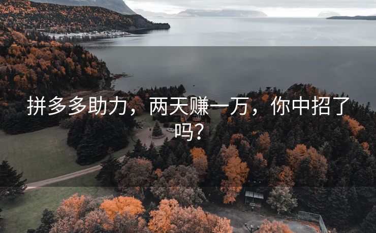 拼多多助力，两天赚一万，你中招了吗？