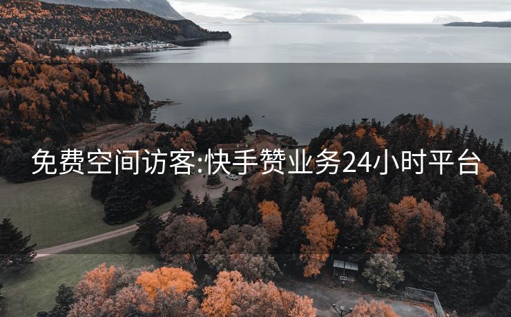 免费空间访客:快手赞业务24小时平台