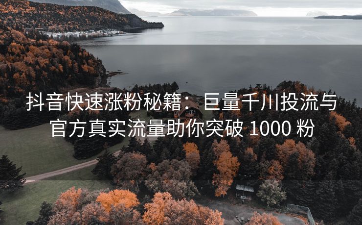 抖音快速涨粉秘籍：巨量千川投流与官方真实流量助你突破 1000 粉