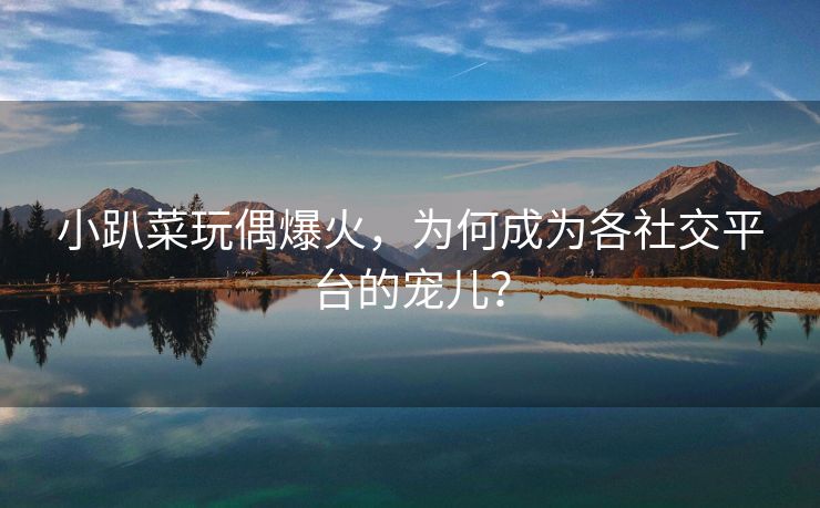 小趴菜玩偶爆火，为何成为各社交平台的宠儿？
