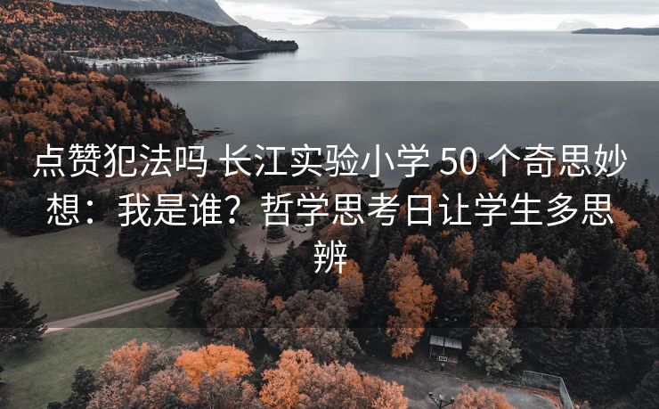 点赞犯法吗 长江实验小学 50 个奇思妙想：我是谁？哲学思考日让学生多思辨