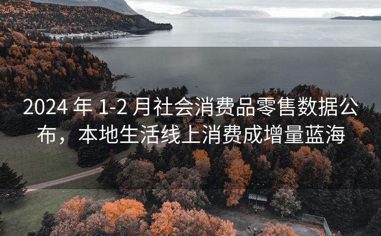 2024 年 1-2 月社会消费品零售数据公布，本地生活线上消费成增量蓝海