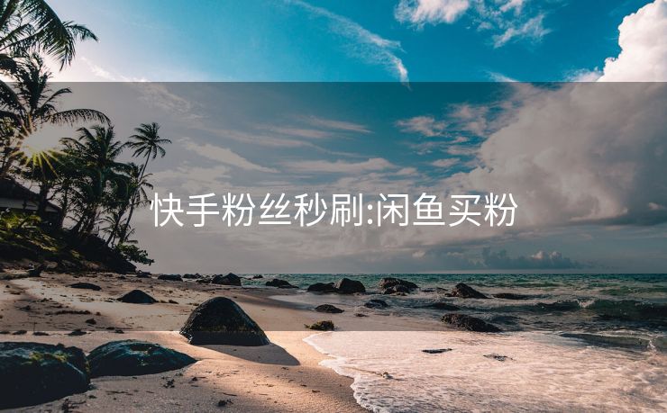 快手粉丝秒刷:闲鱼买粉