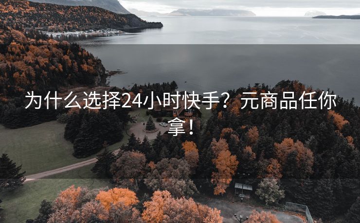 为什么选择24小时快手？元商品任你拿！