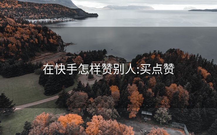 在快手怎样赞别人:买点赞