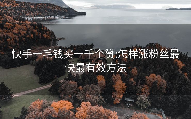 快手一毛钱买一千个赞:怎样涨粉丝最快最有效方法