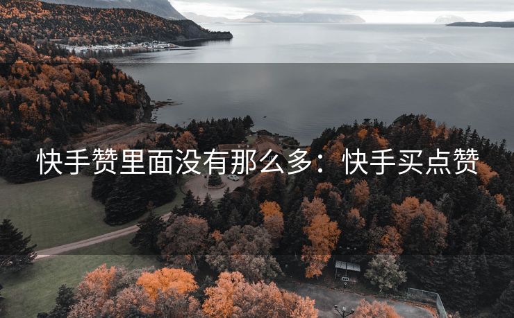 快手赞里面没有那么多：快手买点赞