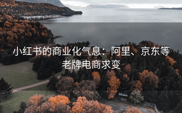 小红书的商业化气息：阿里、京东等老牌电商求变