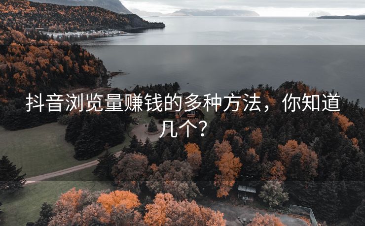 抖音浏览量赚钱的多种方法，你知道几个？