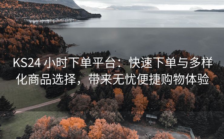 KS24 小时下单平台：快速下单与多样化商品选择，带来无忧便捷购物体验