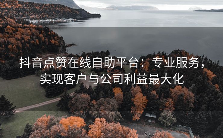 抖音点赞在线自助平台：专业服务，实现客户与公司利益最大化