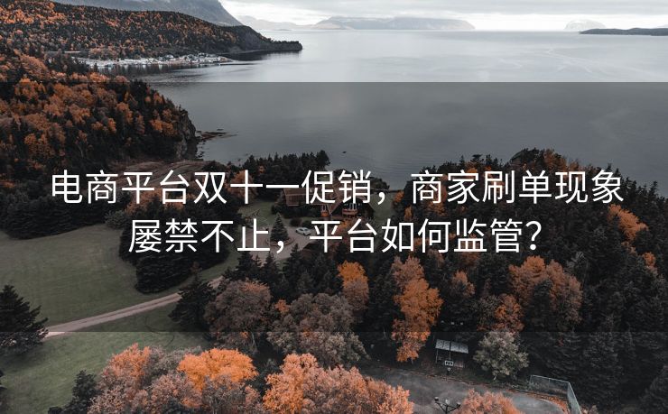 电商平台双十一促销，商家刷单现象屡禁不止，平台如何监管？