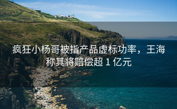 疯狂小杨哥被指产品虚标功率，王海称其将赔偿超 1 亿元