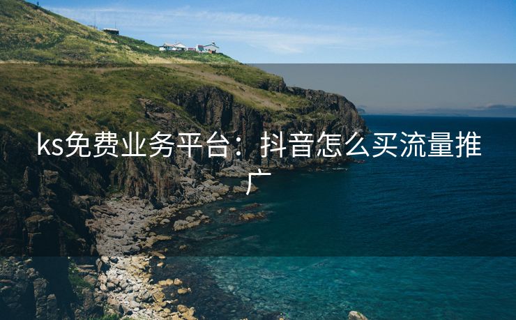 ks免费业务平台：抖音怎么买流量推广