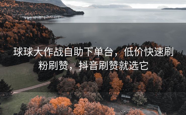 球球大作战自助下单台，低价快速刷粉刷赞，抖音刷赞就选它