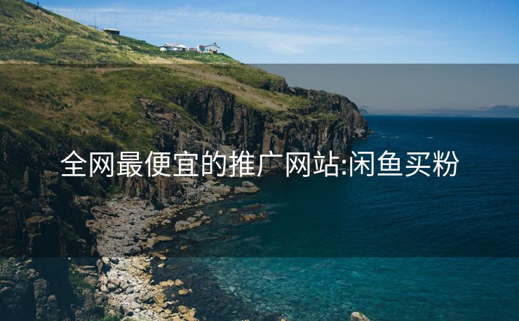 全网最便宜的推广网站:闲鱼买粉