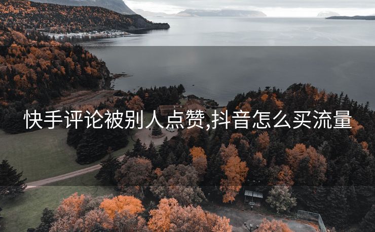 快手评论被别人点赞,抖音怎么买流量