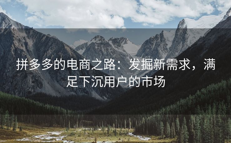 拼多多的电商之路：发掘新需求，满足下沉用户的市场