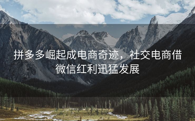 拼多多崛起成电商奇迹，社交电商借微信红利迅猛发展
