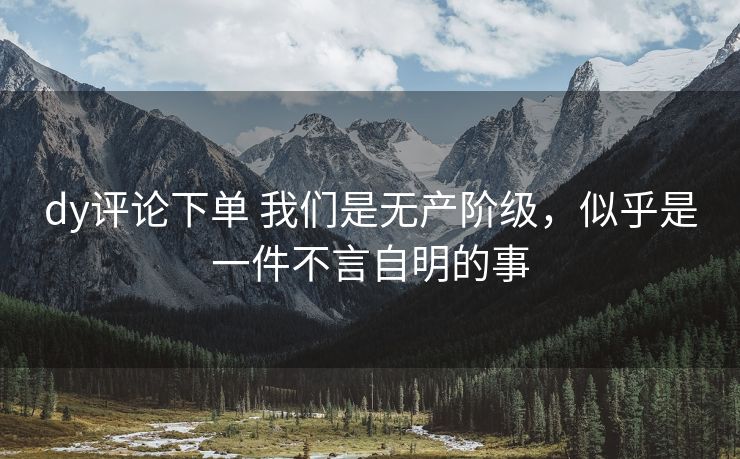 dy评论下单 我们是无产阶级，似乎是一件不言自明的事