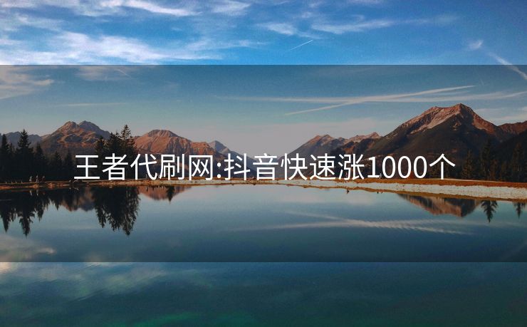 王者代刷网:抖音快速涨1000个