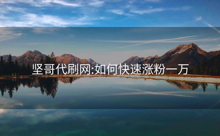 坚哥代刷网:如何快速涨粉一万